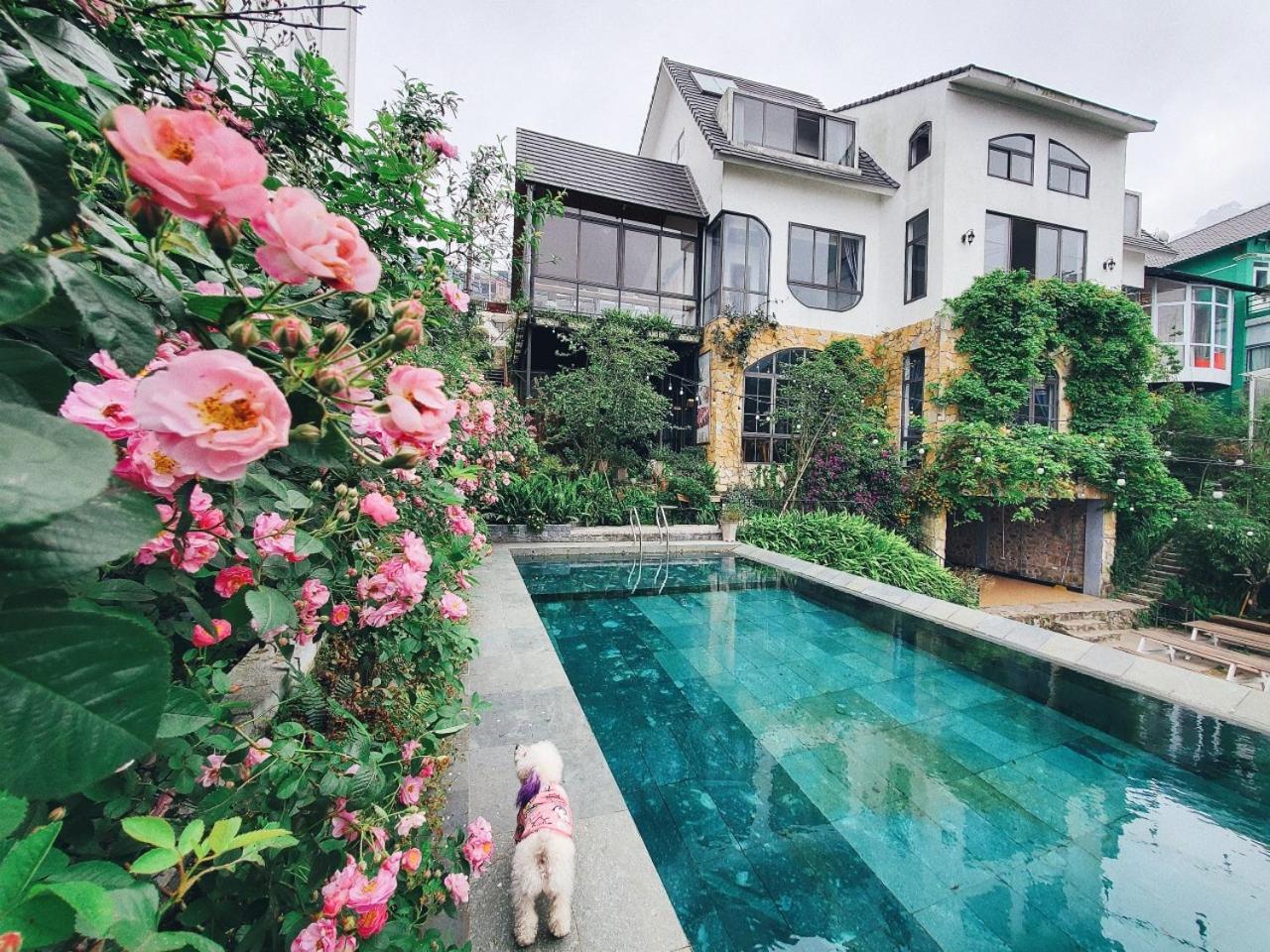 Le Vent Tam Dao Homestay מראה חיצוני תמונה